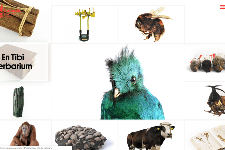 Naturalis Topstukken website preview